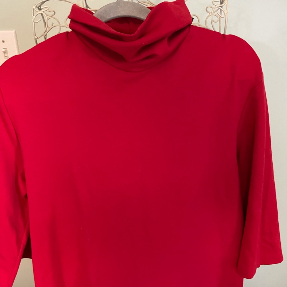 Turtle Neck Res Dress